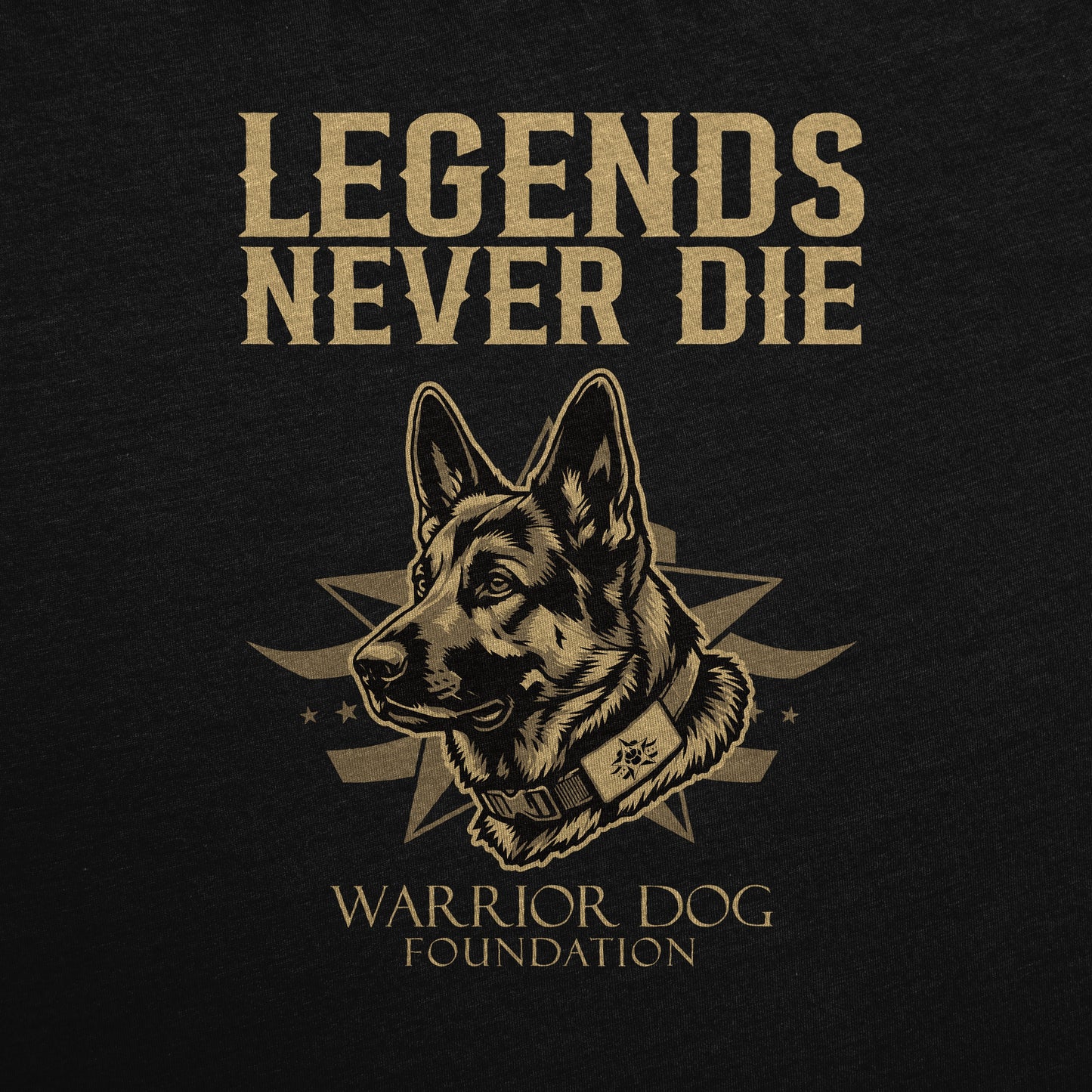 Will Chesney Legends Never Die Hoodie - Black