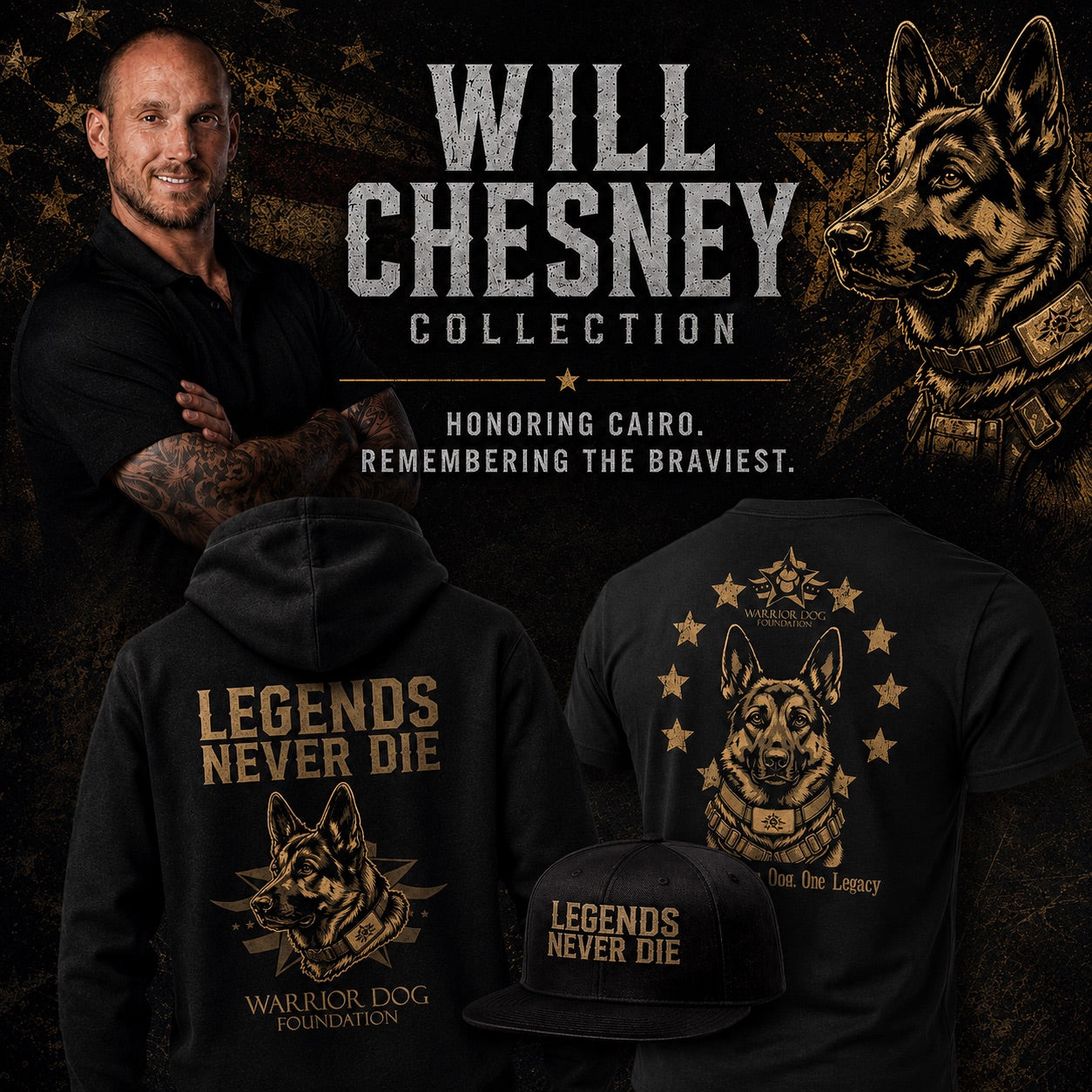 Will Chesney Collection